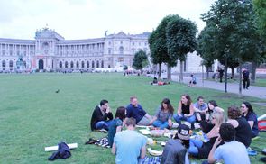 Picknick mit JungpolitikerInnen