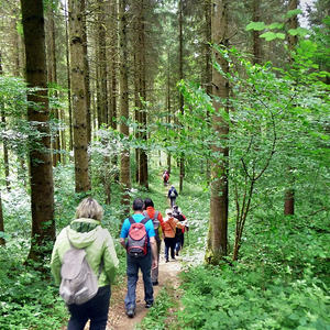 des Männerstammtisches