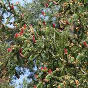 meditative Pilgerwanderung 28.4.18
