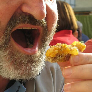 Weinkost des Eine-Welt-Kreises