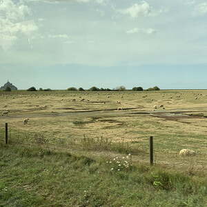 2019 - Pilgerreise Normandie