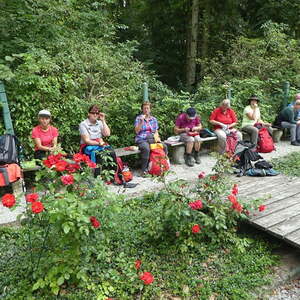 Ökum. Pilgerwanderung