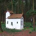 Nicht nur Kirchen im Wald bieten Abkühlung
