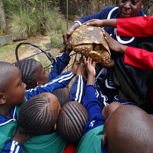 Partnerpfarre Kibera