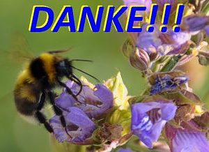 Mitarbeiterabschluss