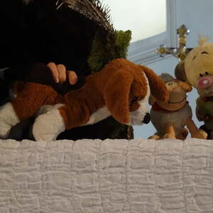 Der Höhlenhund mit der wunden Pfote.       