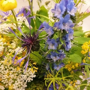 PGR-Sitzung Mai 2020