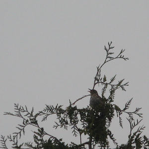 Eine Nacht im Pfarrzentrum