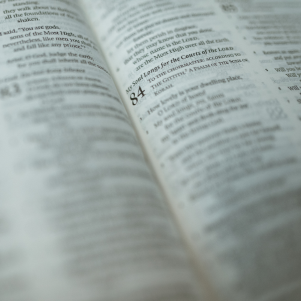 Heidewald Schieferegg - Umweltarbeit in der Diözese Linz