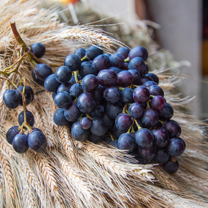 Beate Huemer-Schulz und Maria Ullner beim Binden der Erntekrone