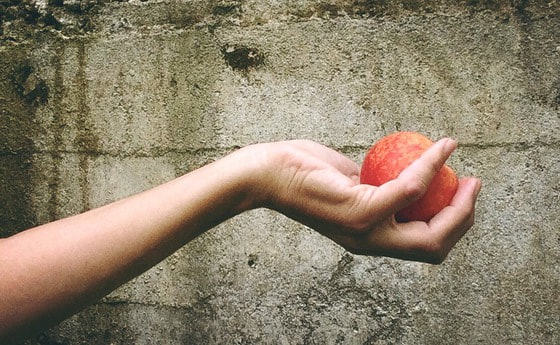 Danke für die Spenden