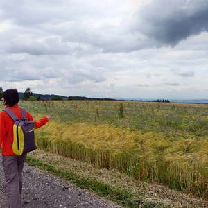 des Männerstammtisches