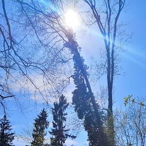 Kreuzwegandacht am Schiltenberg