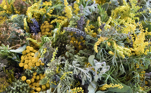 Mariä Himmelfahrt 2025