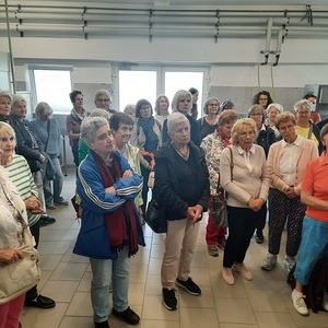 Schokomanufaktur Frucht&Sinne