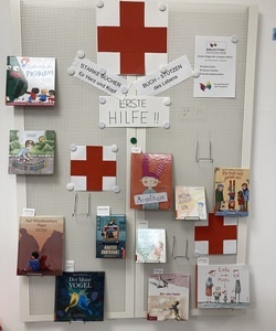 Die Erste Hilfe Präsentation in Weyregg