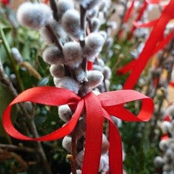 Palmbuschenbinden 2016