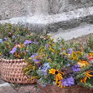 Mariä Himmelfahrt 2022