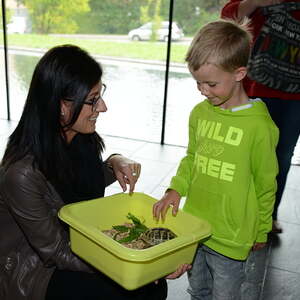 Fest des Hl. Franz von Assisi