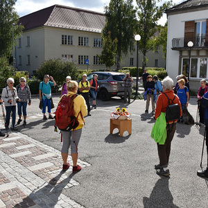 Fußwallfahrt der Pfarre Heilige Familie Wels nach Maria Fallsbach