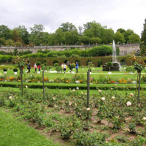 Anreise und Besichtigung der Residenz in Würzburg