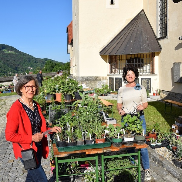 Kräuter- u. Staudenkirtag