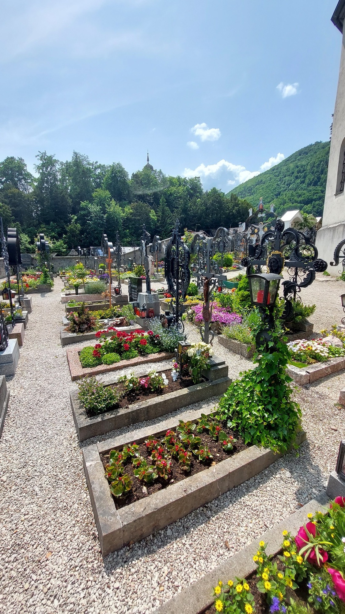 Brigitte Niedermaier