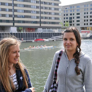 Firmprojekt Hochbeet