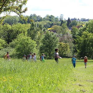 Die Schnitzeljagd der Jungschar auf dem Freinberg