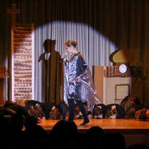 Froschgoscherl Theater 2016