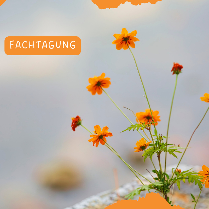 Fachtagung 'Seelenstärke'