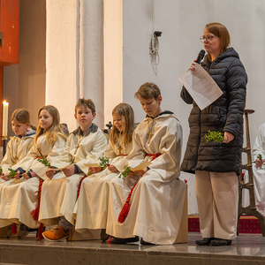 Palmsonntag Pfarre Kirchdorf an der Krems