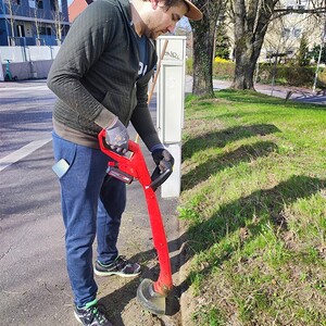 Auch heuer wieder Blühstreifen
