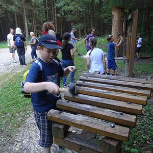 Naturerlebnisweg Pfarrwald Vöcklabruck