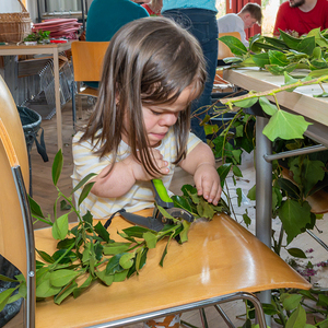 Kath. Jungschar der Pfarre Kirchdorf an der Krems übernahm heuer erstmals das Palmbuschen-Binden. 