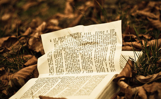 Eröffnung der neuen Lichtenberger Gemeinde- und Pfarrbibliothek