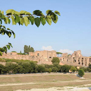 Pilgerreise Assisi und Rom