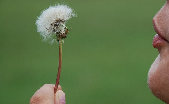 Interessante Veranstaltungen...