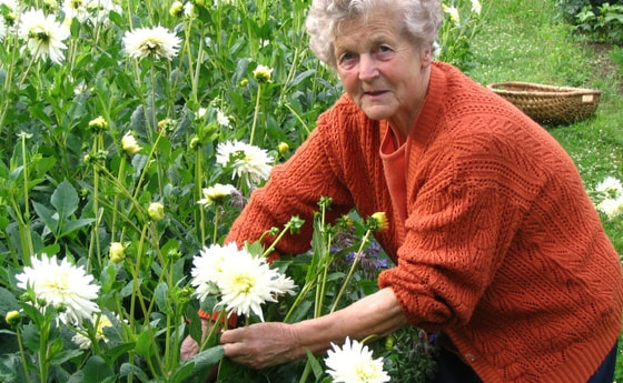 Verantwortlich für den Blumenschmuck