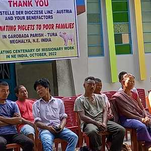 In Kürze stolze Besitzer von zwei Schweinen