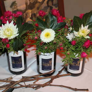 Pfarre Neumarkt im Mühlkreis