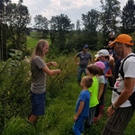 Bachwanderung und Naturerlebnis