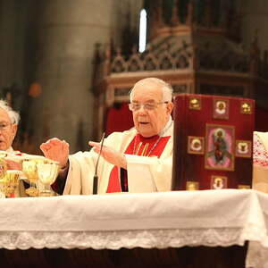 30 Jahre Bischofsweihe, Linzer Mariendom (2012)