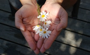 Hände Blumen