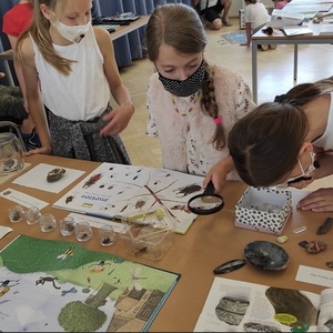 MINT-Ferienspiel in der Bibliothek 