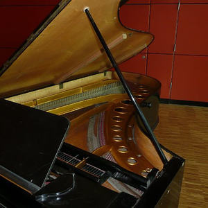 Bösendorfer Flügel