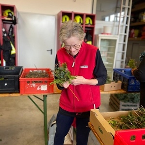 Palmbuschen binden 2025