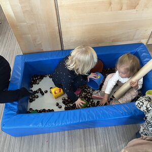 Spaß mit Kastanien!