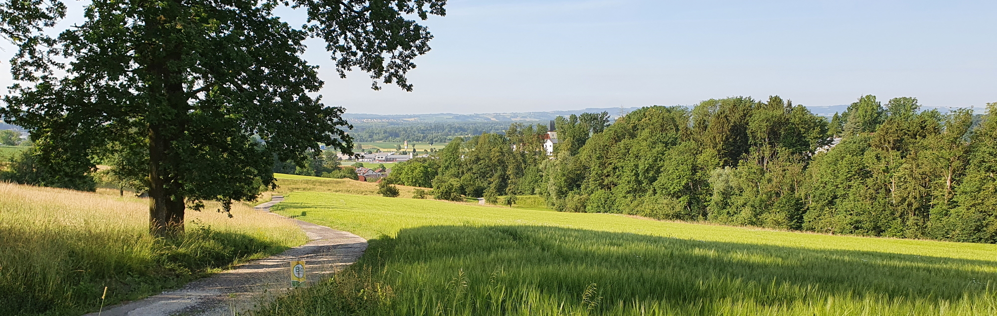 Walding und Kirche im Sommer