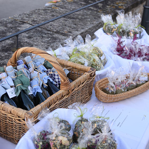 Selbstgemachtes aus Kräutern